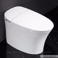 箭牌智能马桶一体式家用全自动坐便器电动马桶AKB1318M