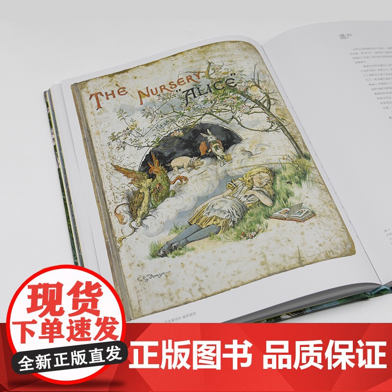 [央视网]百变爱丽丝 越奇越怪 [英]凯特·贝莉 西蒙·斯莱登 记录爱丽丝梦游仙境美术创作理论书籍YS高清大图