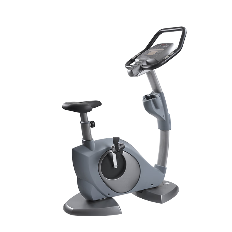 WNQ万年青 立式健身车 F1-8318LB