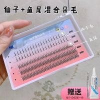 (送胶水+镊子)仙子+鱼尾 涵贝尔仙子眼睫毛混合装鱼尾仙女毛a型假睫毛女单簇嫁接自然仿真