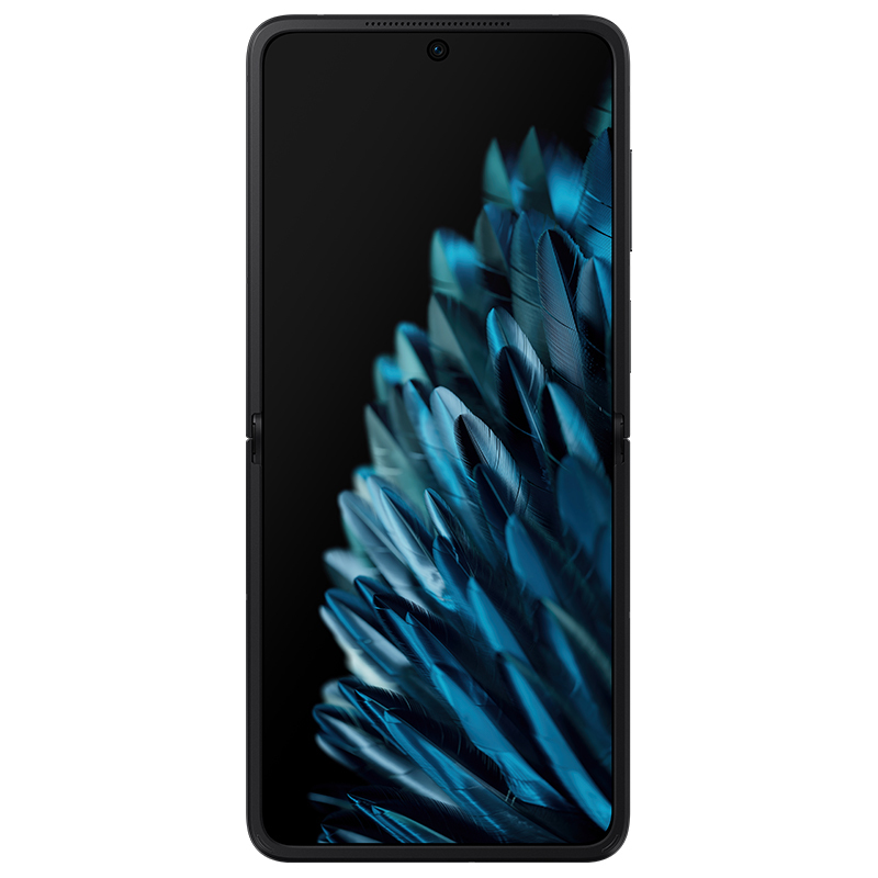 OPPO Find N2 Flip 雅黑 8GB+256GB 120Hz镜面折叠屏 口袋折叠设计 5000万像素超清外屏自拍 拍照游戏商务全网通5G折叠手机