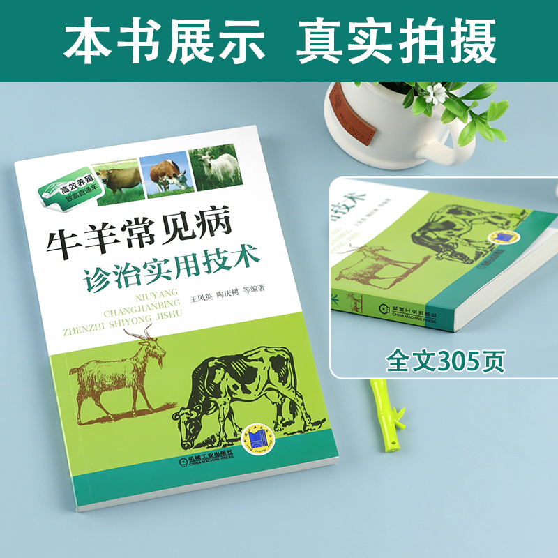 [正版]牛羊常见病诊治实用技术养殖致富直通车养殖牛羊大全牛羊病防治技术书兽医临床工具书畜牧兽医辅导书羊牛常见病防治措施高清大图