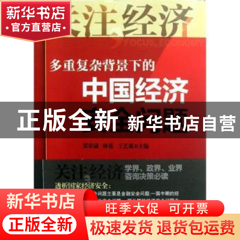 正版 多重复杂背景下的中国经济安全问题 雷家骕,林苞,王艺霖主高清大图