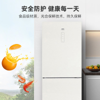 扎努西.伊莱克斯冰箱ZBE2531LGA
