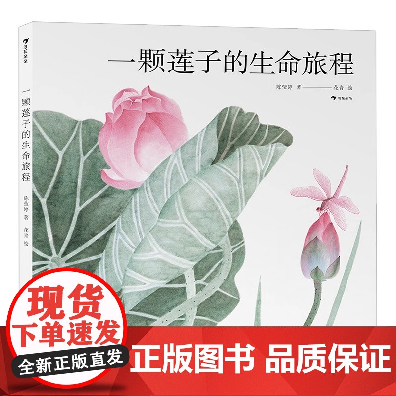 一颗莲子的生命旅程精装硬壳 以国画绘出莲的生命轮回国风情怀自然科普绘本 系统讲述莲文化和莲的科学知识 陈莹婷 浪花朵朵正高清大图