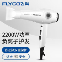 飞科(FLYCO)电吹风家用大功率吹风筒旅行负离子吹风机冷热风理发店发廊新老款随机 雪白色