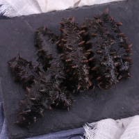 海洋岛 大连野生海参 盐渍辽参 拉缸盐半干海刺参礼盒21-25头500g