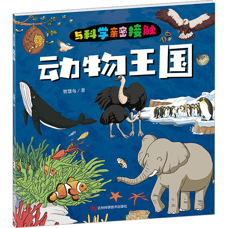 音像动物王国智慧鸟