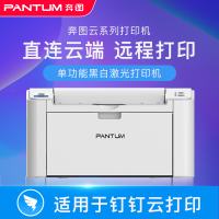 奔图(PANTUM)P2518NW黑白激光打印机