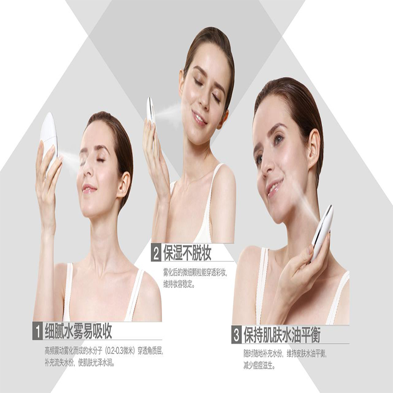 LIFETRONS 励富创 纳米雾化美颜仪 NS-400AS-WH1