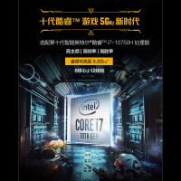 Asus/华硕飞行堡垒8代 15.6英寸轻薄本发烧专业游戏本笔记本电脑(十代酷睿i5-10300H 8G内存 512G固态 GTX1650Ti/4G独显/144Hz）