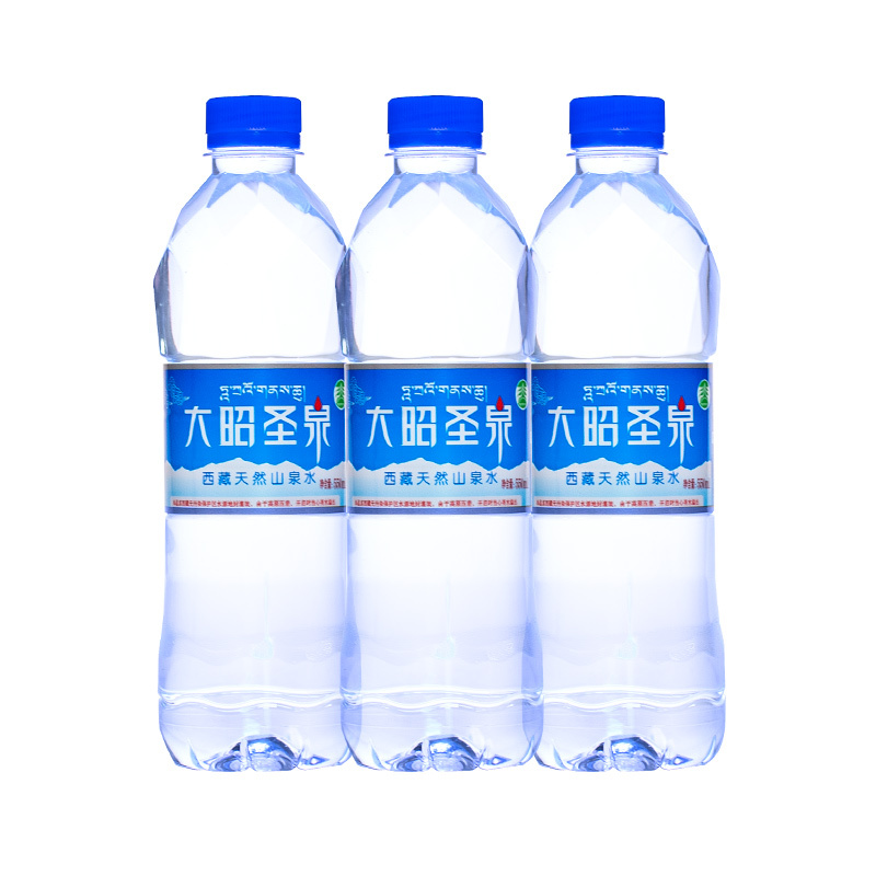 [中华特色馆]拉萨直发 大昭圣泉 纯净水饮用水矿泉水550ML*24瓶整装