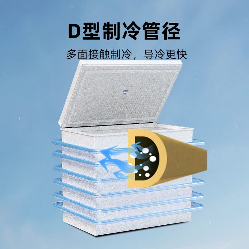 星星冰柜商用保鲜BD/BC-300DE 300升大容量直冷速冻 一级能效节能减霜设计图片