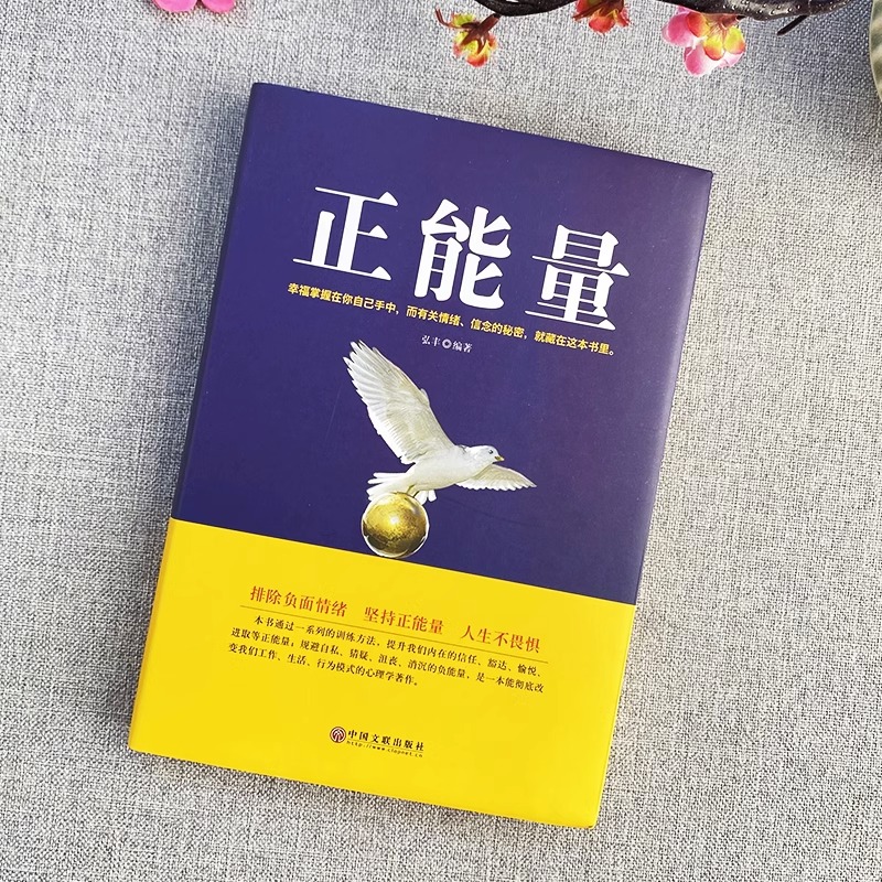 [正版] 正能量 负面情绪正面解决焦虑症缓解心灵鸡汤心灵成长与修养的书籍 职场抑郁症治疗解压心理疏导青少年成功励志青春高清大图