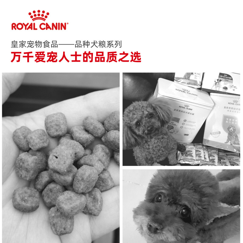 ROYAL CANIN 皇家狗粮 APD33贵宾泰迪幼犬狗粮 全价粮 0.5kg 小型犬幼犬 亮泽被毛 增强体质