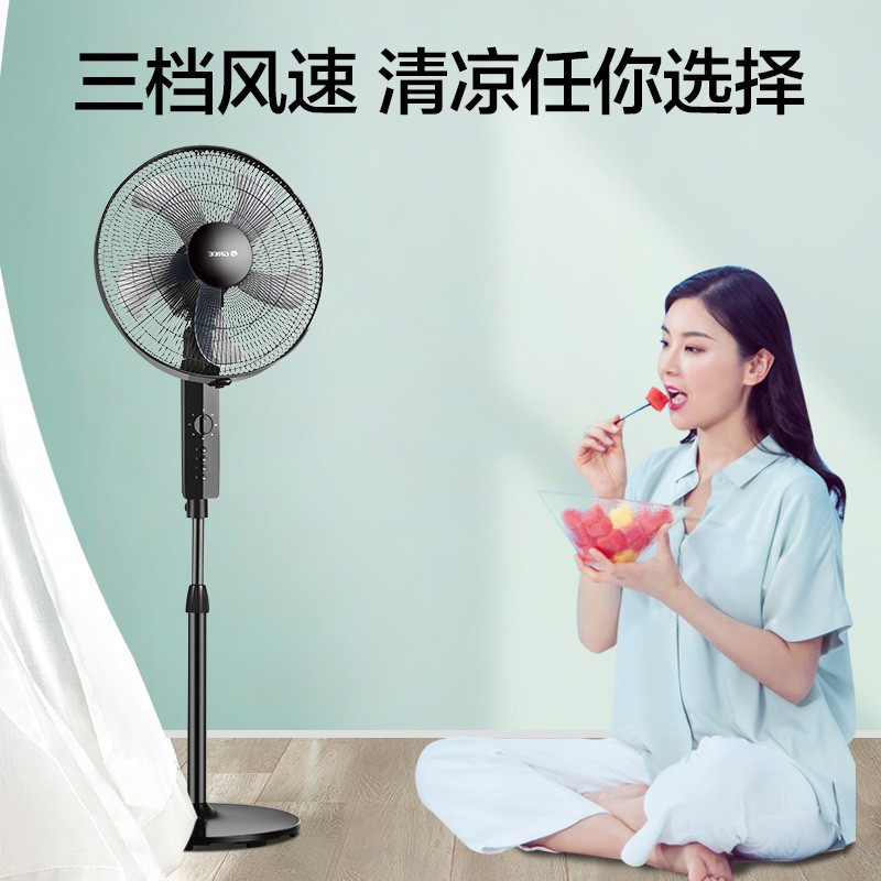格力(GREE) 电风扇 FD-4012-WG 机械落地扇智能2小时定时3档风速全铜电机节能低音升降扇立式电扇台式 台扇高清大图