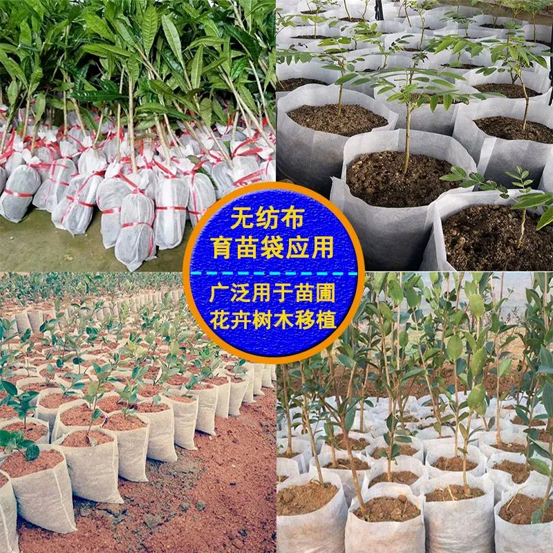无纺布育苗袋树苗营养袋可降解容器苗圃营养袋园林美植袋-【平口】;【100个】高清大图