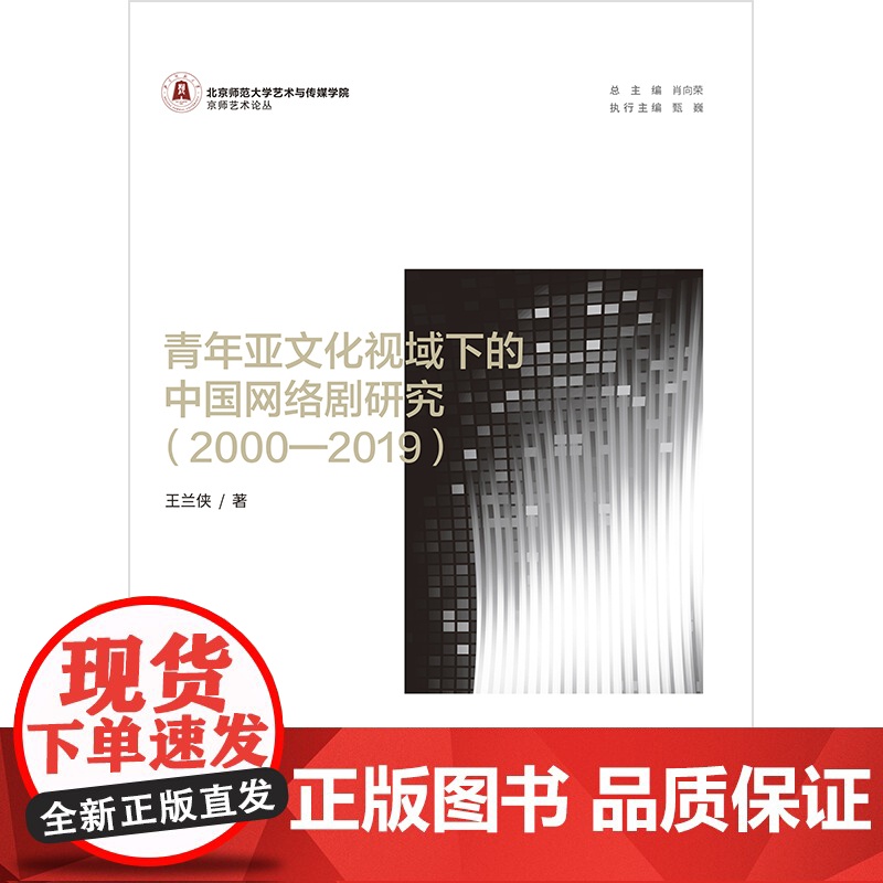 青年亚文化视域下的中国网络剧研究(2000—2019)高清大图