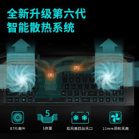 机械革命(MECHREVO)蛟龙7 AMD 17.3英寸学习本游戏本定制笔记本电脑(R7-5800H 16G 1T+1T固态 RTX3060 6G独显 高色域 165Hz 2K屏)