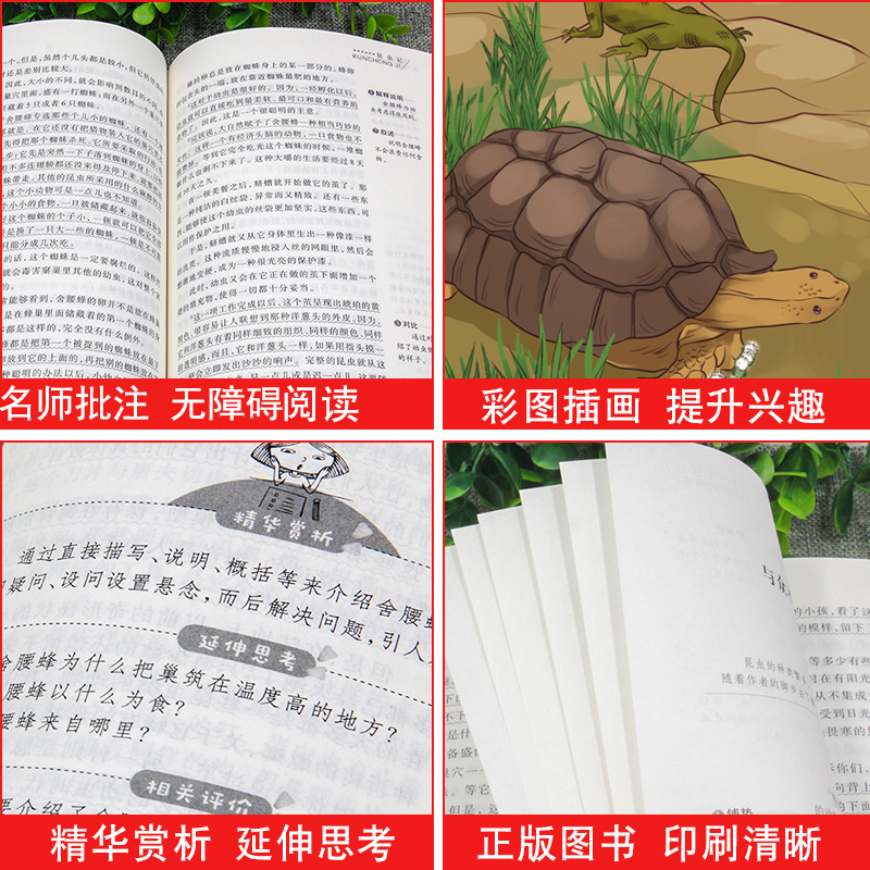 水浒传 [正版]中国民间故事五年级上册必读的课外书快乐读书吧5年级上学期老师书目欧洲非洲田螺姑娘精选全套小学生人民教育天高清大图