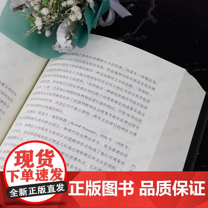 正版 17年8月版 法理学法律哲学与法律方法 博登海默 法律逻辑法哲学学术精品 博登海默法理学法律与科学方法 法学入高清大图
