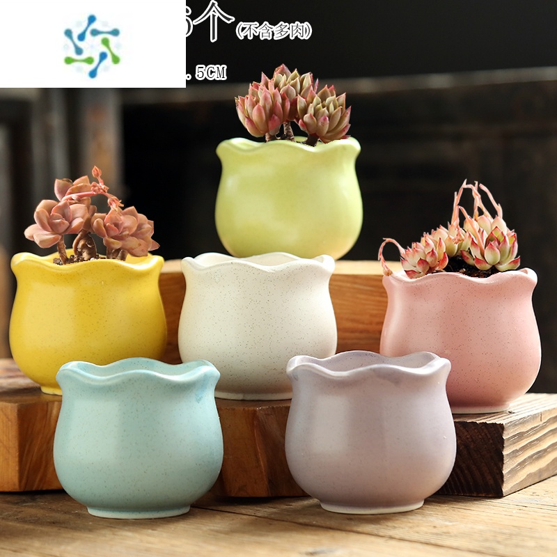 三维工匠多肉花盆陶瓷田园卡通透气粗陶小号拇指盆盆桌面创意花盆容器