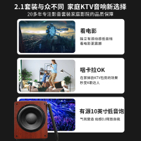 奔腾(BNTN)套装家庭影院专业会议KTV音响2.1全套卡拉OK点歌机触屏电视落地音箱8200配新贵音箱低音炮套装