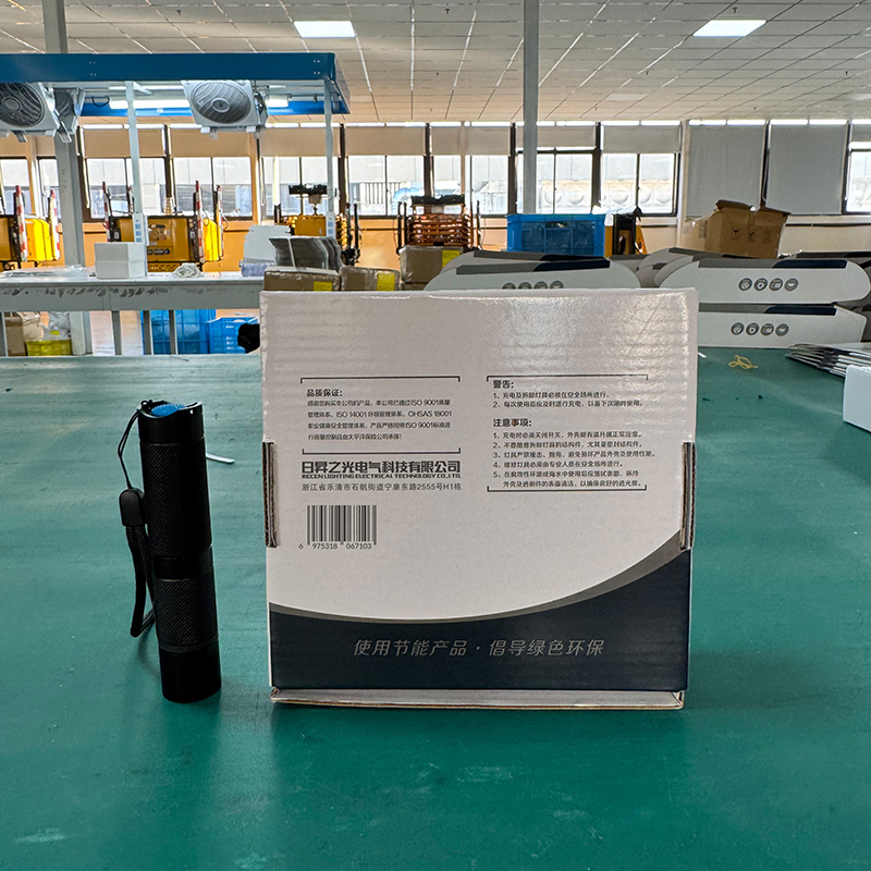 RECEN 微型防爆电筒 RSC8005 个高清大图