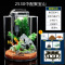 创意玻璃鱼缸小型客厅桌面圆柱形免换水懒人造景金鱼缸生态水族箱