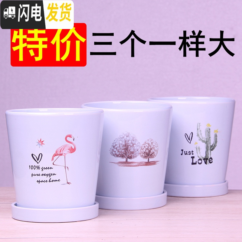 三维工匠欧式花盆陶瓷三个大中号简约创意家用绿植盆栽花盆带托盘 白仙人掌14厘米三个 中等花盆容器
