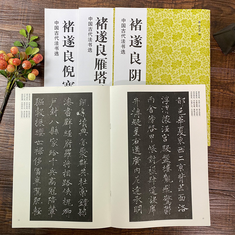 [正版]褚遂良楷书字帖全4册 雁塔圣教序/大字阴符经/倪匡赞/千字文 原碑帖高清简体旁注中国古代书法选褚体楷书临摹入门高清大图