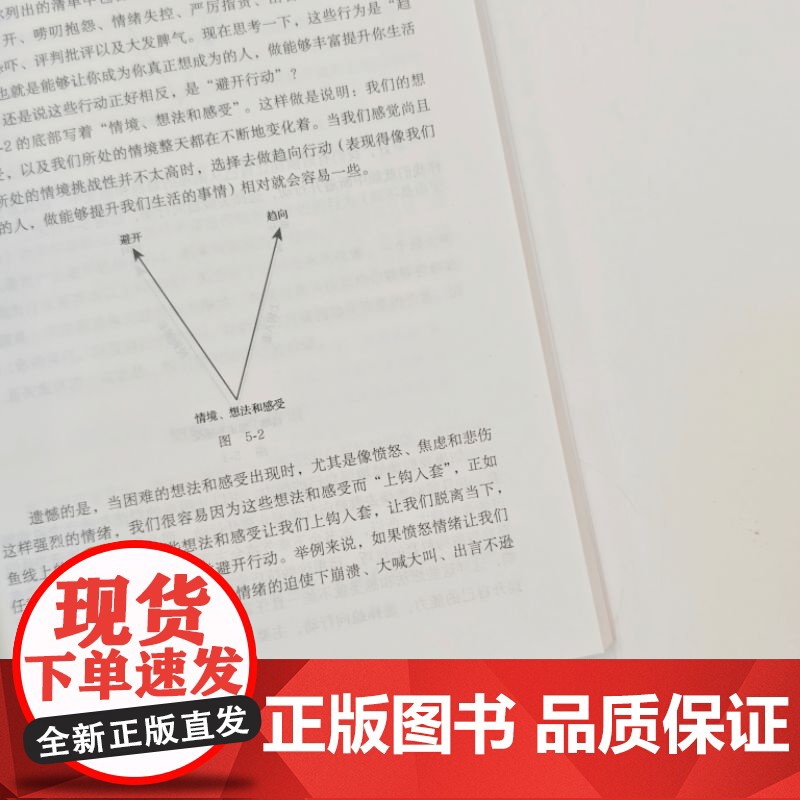 正版 爱的陷阱:如何让亲密关系重获新生(原书第2版)路斯·哈里斯 亲密关系 爱情 情感联结 重建信任 修复指南高清大图