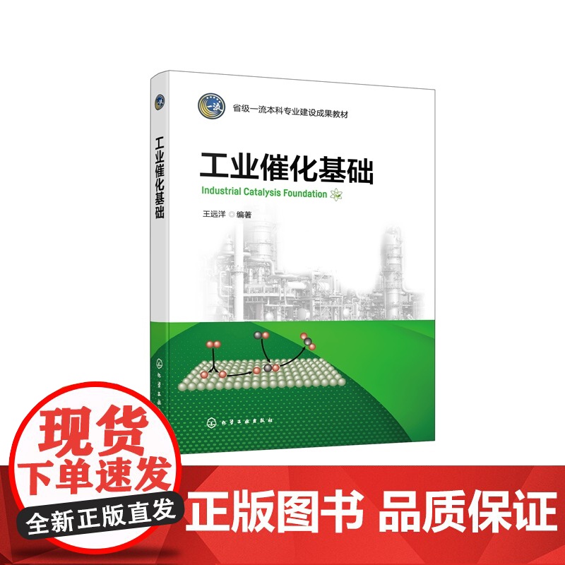 工业催化基础 王远洋 编 化学工业出版社