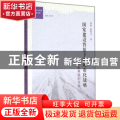 国家建设背景下的城市化战略:中美两国的经验