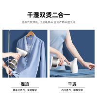 泰瑞达ter手持挂烫机蒸汽电熨斗美国家用办公室旅行便携迷你小巧两档蒸汽持久熨烫1200W熨衣服