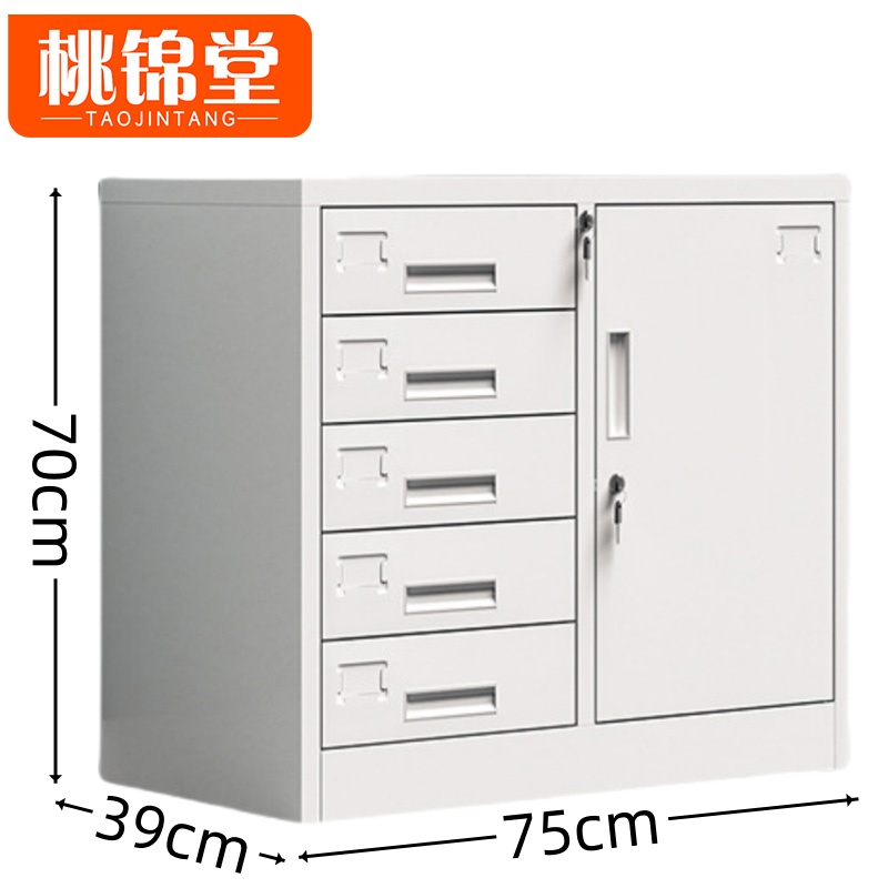桃锦堂 文件柜五斗一门 台高清大图
