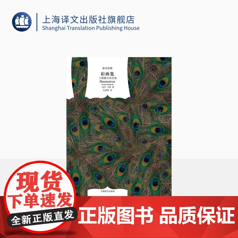 彩画集(兰波散文诗全集) 【法】兰波著 王道乾译 译文经典 十九末法国生活风情 诗人对世间的挑战 上海译文出版社 正版