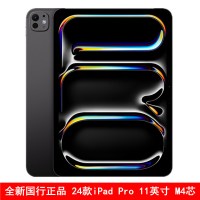 Apple iPad Pro 深空灰 2024款 256GB 11英寸 M4芯 WiFi 苹果平板电脑