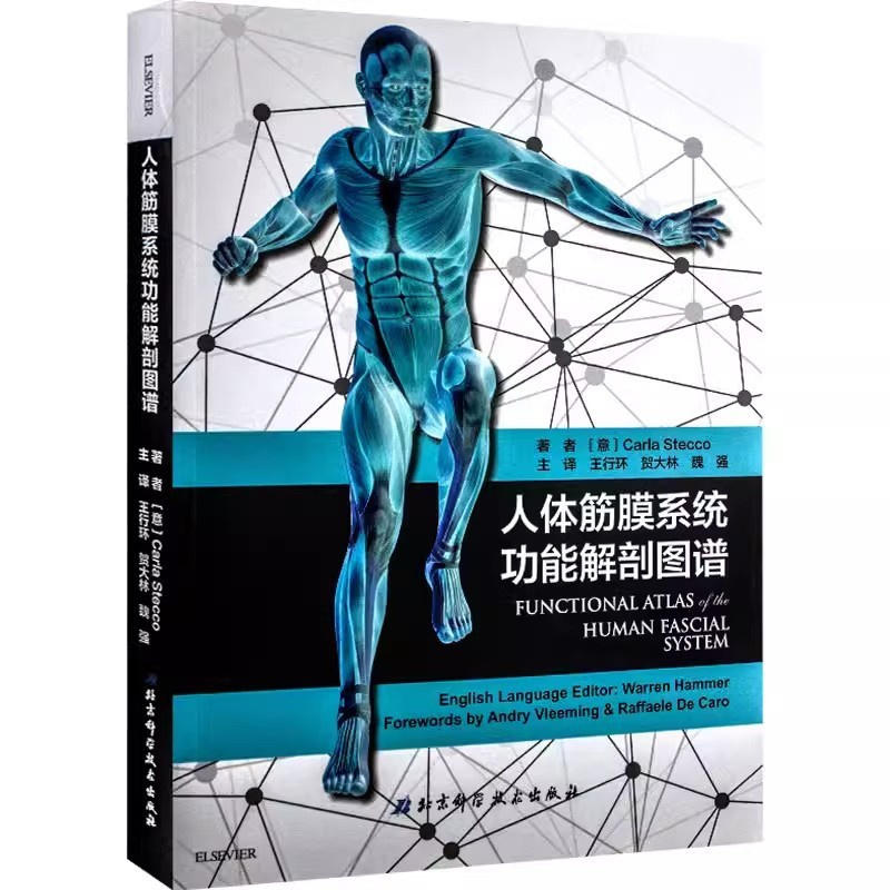 [正版]人体筋膜系统功能解剖图谱 王行环 北京科学技术出版社 意大利引进中文简体版 筋膜健身书