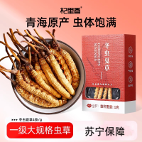 1克5根/克 杞里香冬虫夏草正品青海虫草干货无断草礼盒包装酒官方旗舰店