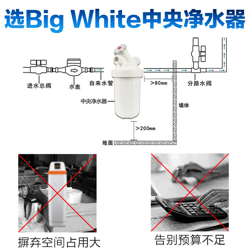 美国通用(GE)厨下式净水器BWF-20 WS软化水树脂净水机滤芯版