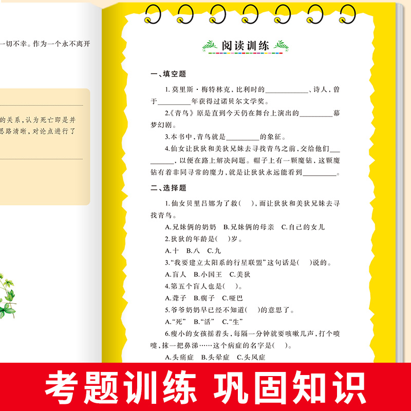 醉染图书青鸟 美绘版9787567768857高清大图