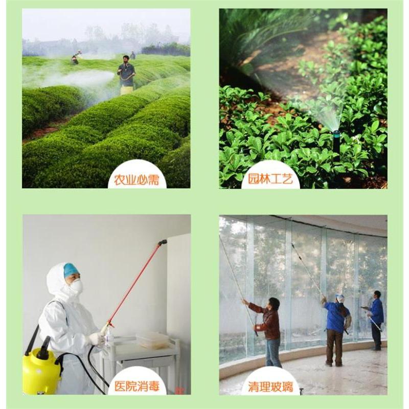 递乐(DiLe) 电动喷雾器农用消毒背负式手动喷雾喷壶 单个装