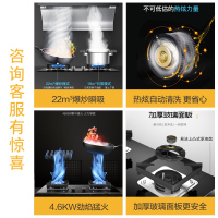 华帝百得(BEST)烟灶消套餐油烟机灶具消毒柜DY55+DZ42B+DR15