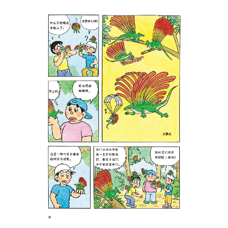 正版新书]恐龙博物馆历险记3:变成鸟的恐龙(日)伊东章夫97875高清大图