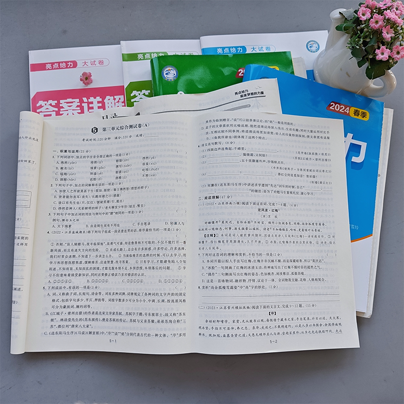人教版 语文 九年级下 [正版]新版 2024春亮点给力大试卷语文数学英语九年级下册江苏版中学教辅9年级下册苏教版同