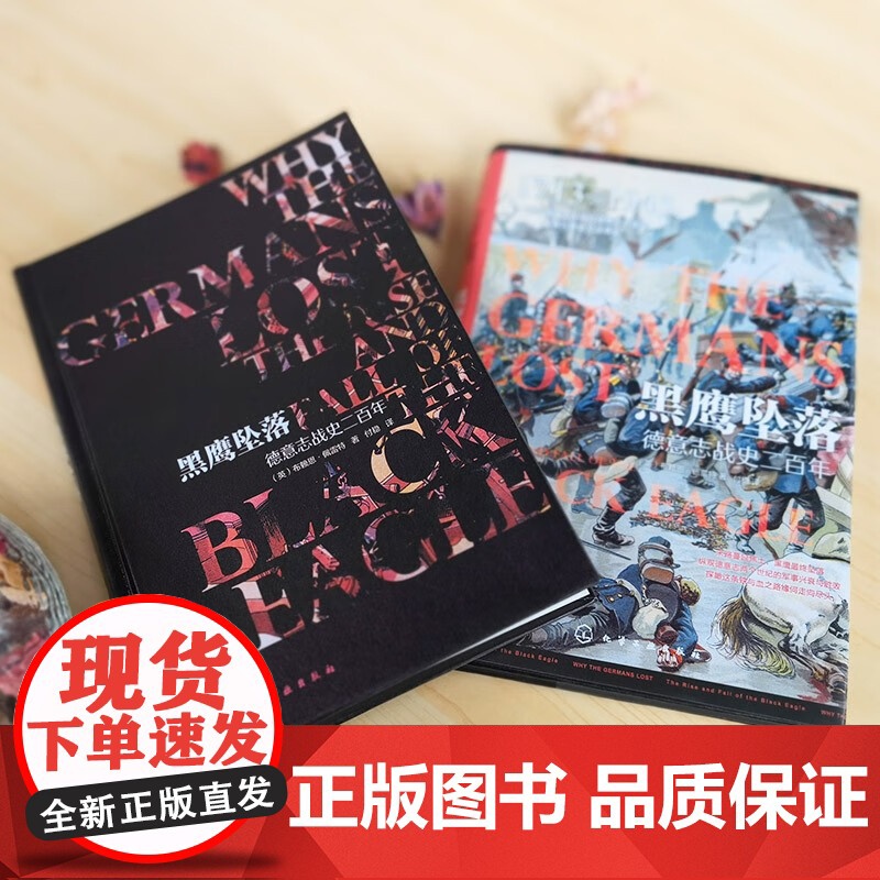 黑鹰坠落 德意志战史二百年 布赖恩·佩雷特 著 军事高清大图