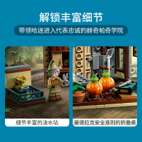 LEGO乐高 哈利波特系列 霍格沃茨时刻:草药课76384玩具拼插积木8岁+粉丝收藏生日新年礼物