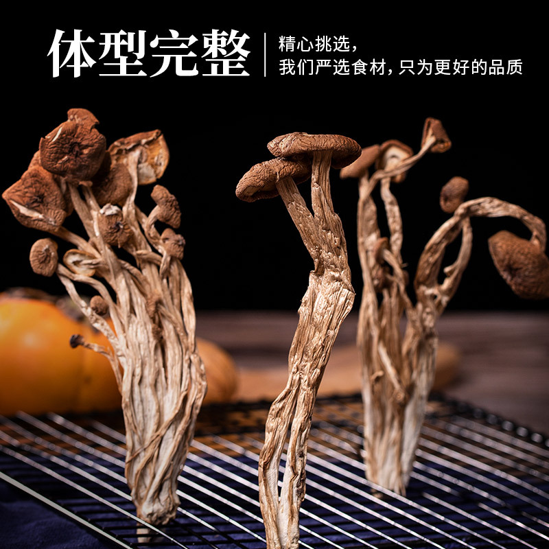 状元特级茶树菇160g 袋装