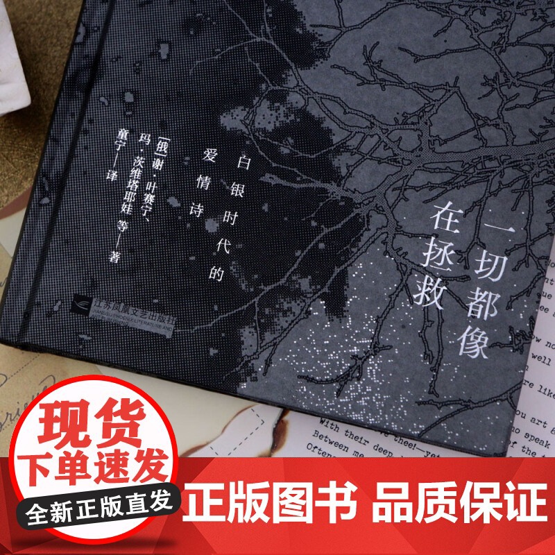 一切都像在拯救叶赛宁 江苏凤凰文艺出版社 后浪正版书籍高清大图